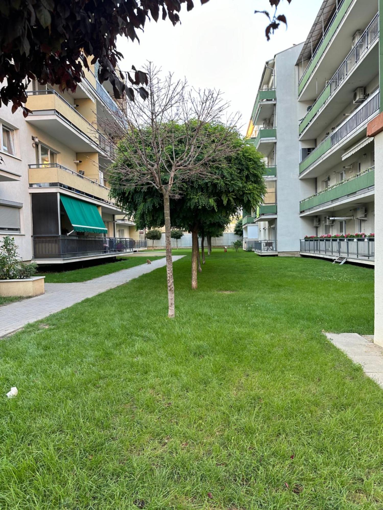 Junior Residence Studio Cluj-Napoca Exteriör bild